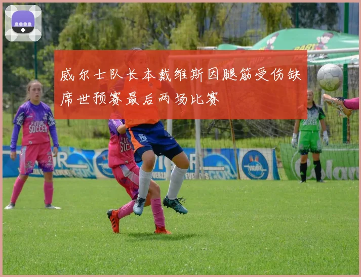 威尔士队长本戴维斯因腿筋受伤缺席世预赛最后两场比赛