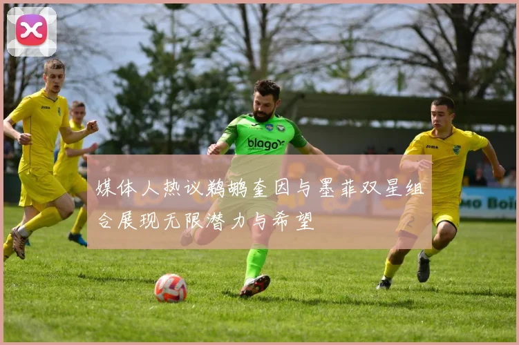 媒体人热议鹈鹕奎因与墨菲双星组合展现无限潜力与希望